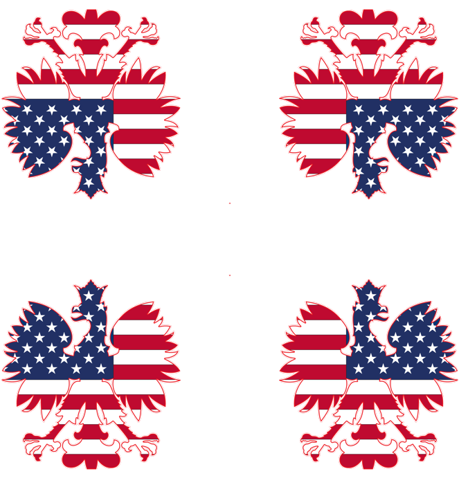 Polish American Eagle Picture Ornament (800x800), Png Download