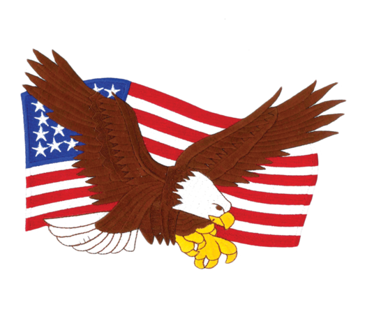 1233 Eagle American Flag Patch 9"w - Flag Patch (600x600), Png Download