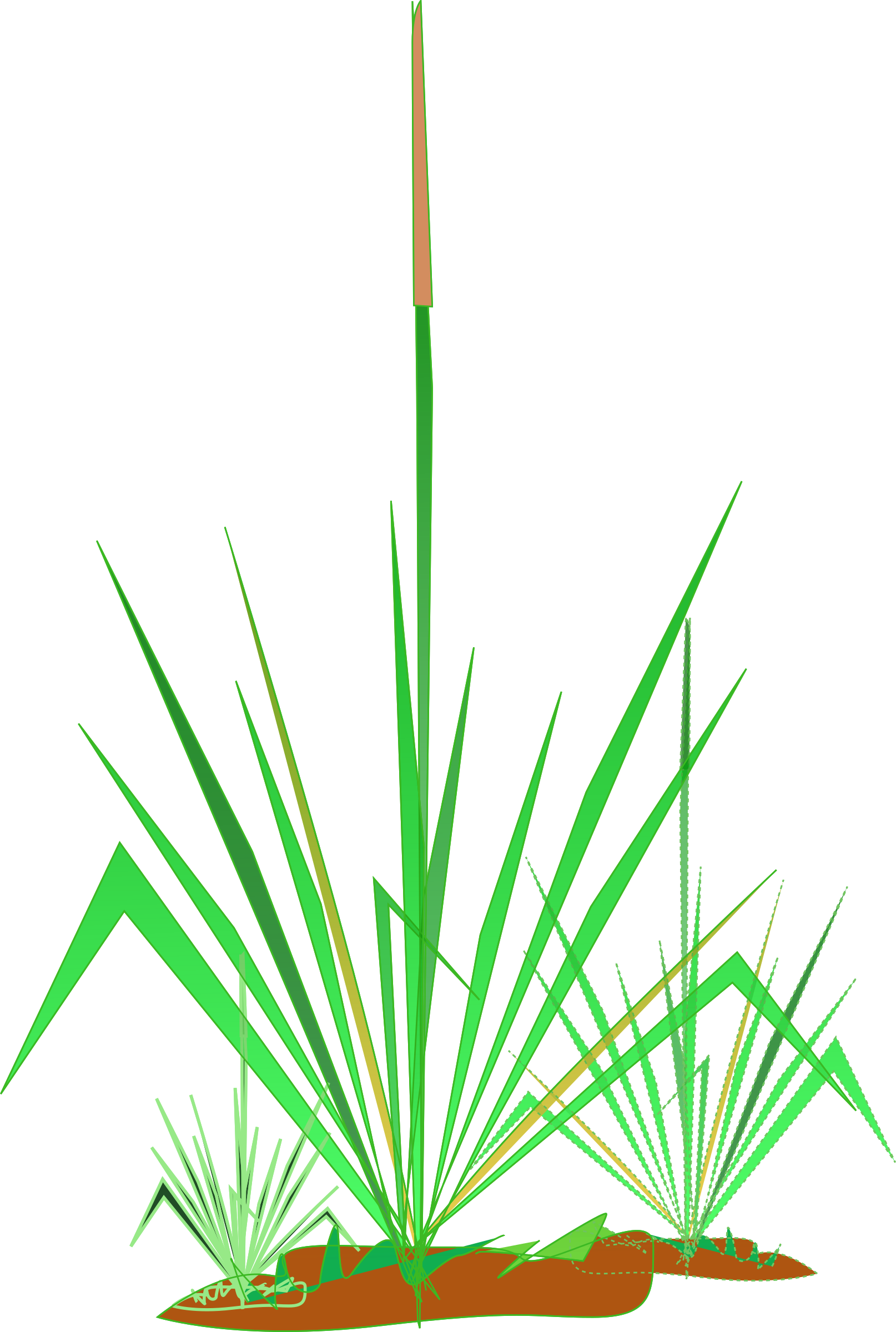 Big Image - Matinhos Clipart (1614x2400), Png Download