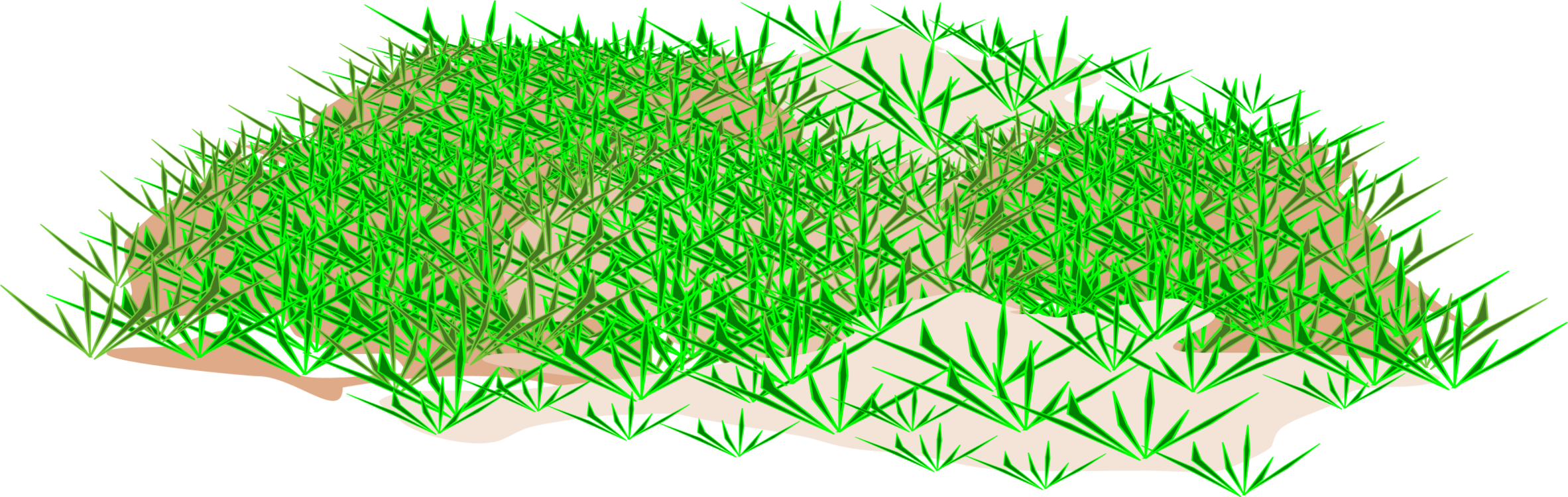 Medium Image - Icon (800x254), Png Download