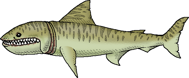 We Need To Go Deeper Shark (642x267), Png Download
