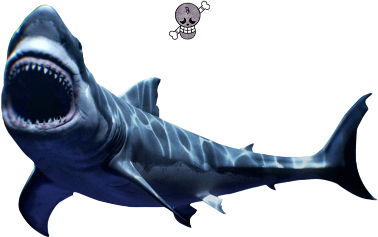 Scary Great White - Great White Shark (900x675), Png Download