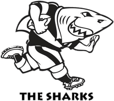 Sharks Rugby Logo - Sharks South Africa Rugby (374x374), Png Download