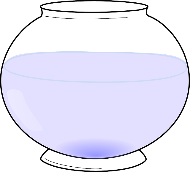 Fishbowl, Aquarium, Water, Glass - Mini Bowl Drawing (640x579), Png Download