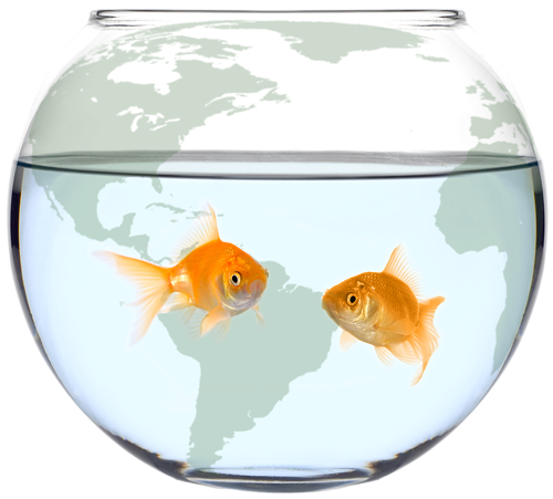 Fish Bowl Travel Logo - Full Fishbowl (500x451), Png Download