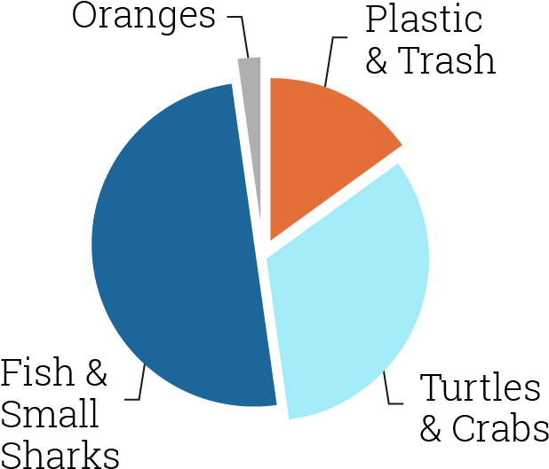 Updated Graph - Portable Network Graphics (806x790), Png Download