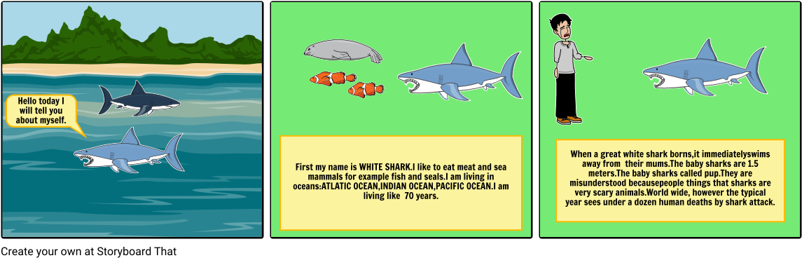 White Sharks Misunderstood Animals - Water (1164x385), Png Download