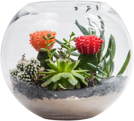 Terrarium Fish Bowl - Wood Carving (500x500), Png Download