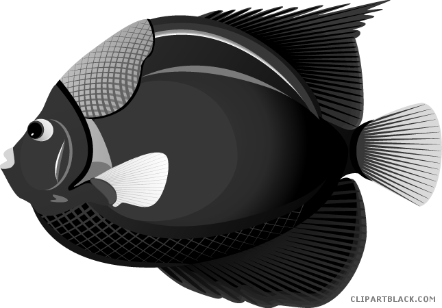 Clip Art Stock Clipartblack Com Animal Free Black White - Tropical Fish (645x450), Png Download