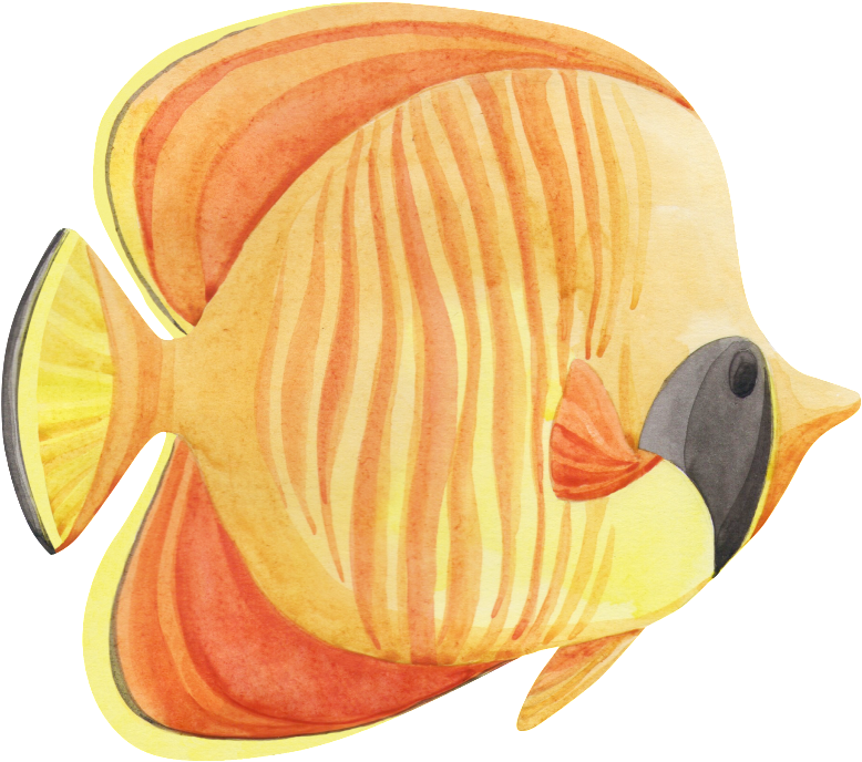 Hand Painted A Tropical Fish Png Transparent - Portable Network Graphics (1024x898), Png Download