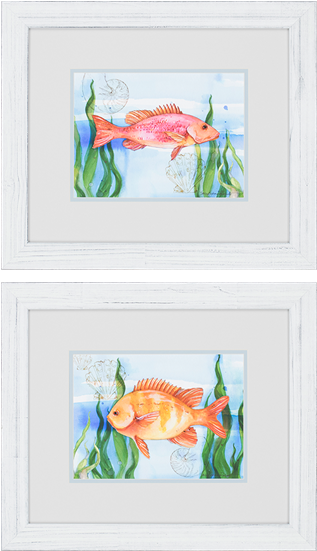 Ocean Reef Pk/2 - Distressing (550x550), Png Download