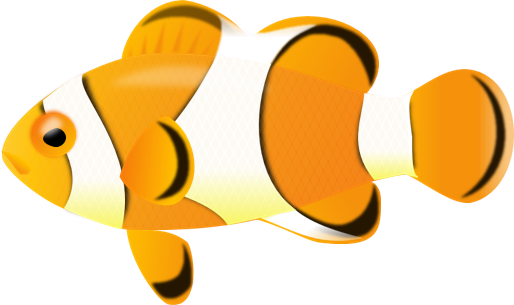 Tropical Fish Clipart 3d Fish - Clown Fish With No Background (514x305), Png Download