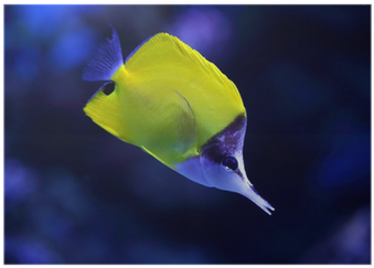 Stock Photography (400x400), Png Download