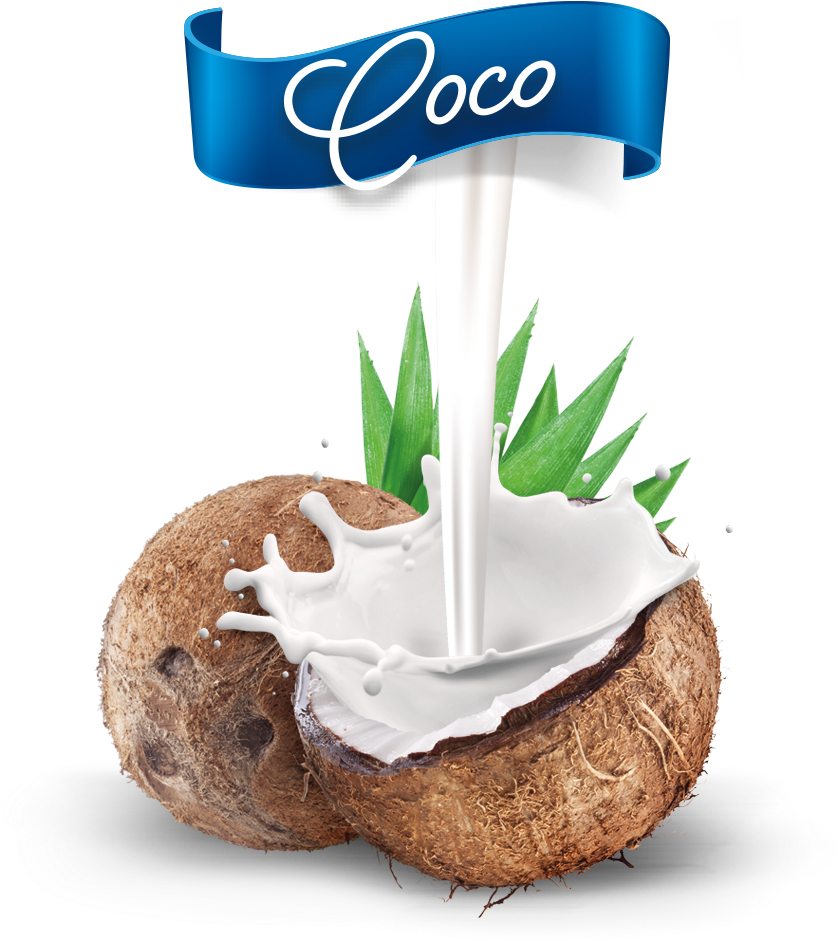 Nuevo Coco Mestre - Feelfree Nutrition Protein Porridge - Coconut 100g (1010x1097), Png Download