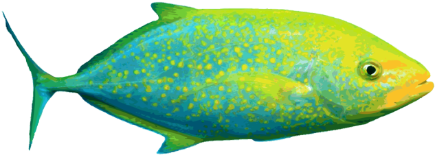 Marine Fish Clipart Tropical Fish - Salt Water Fish Clipart (639x245), Png Download