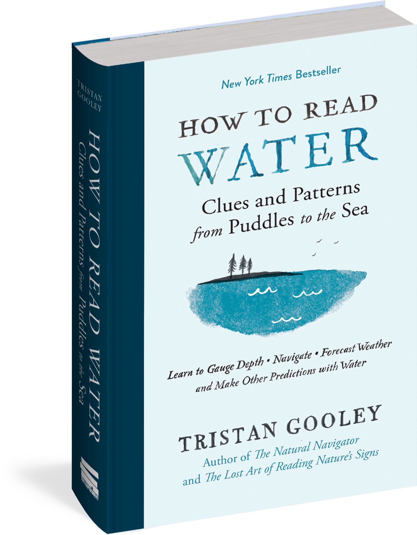 How To Read Water - Read Water: Clues, Signs & Patterns From Puddles (1500x1800), Png Download