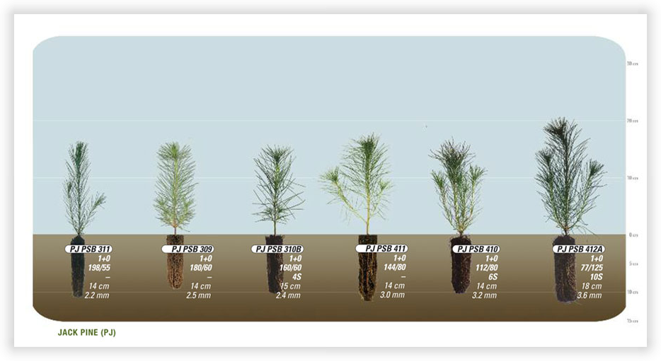 In The Hot Lands, You Can Empty The Water Cooler And - Water (934x511), Png Download