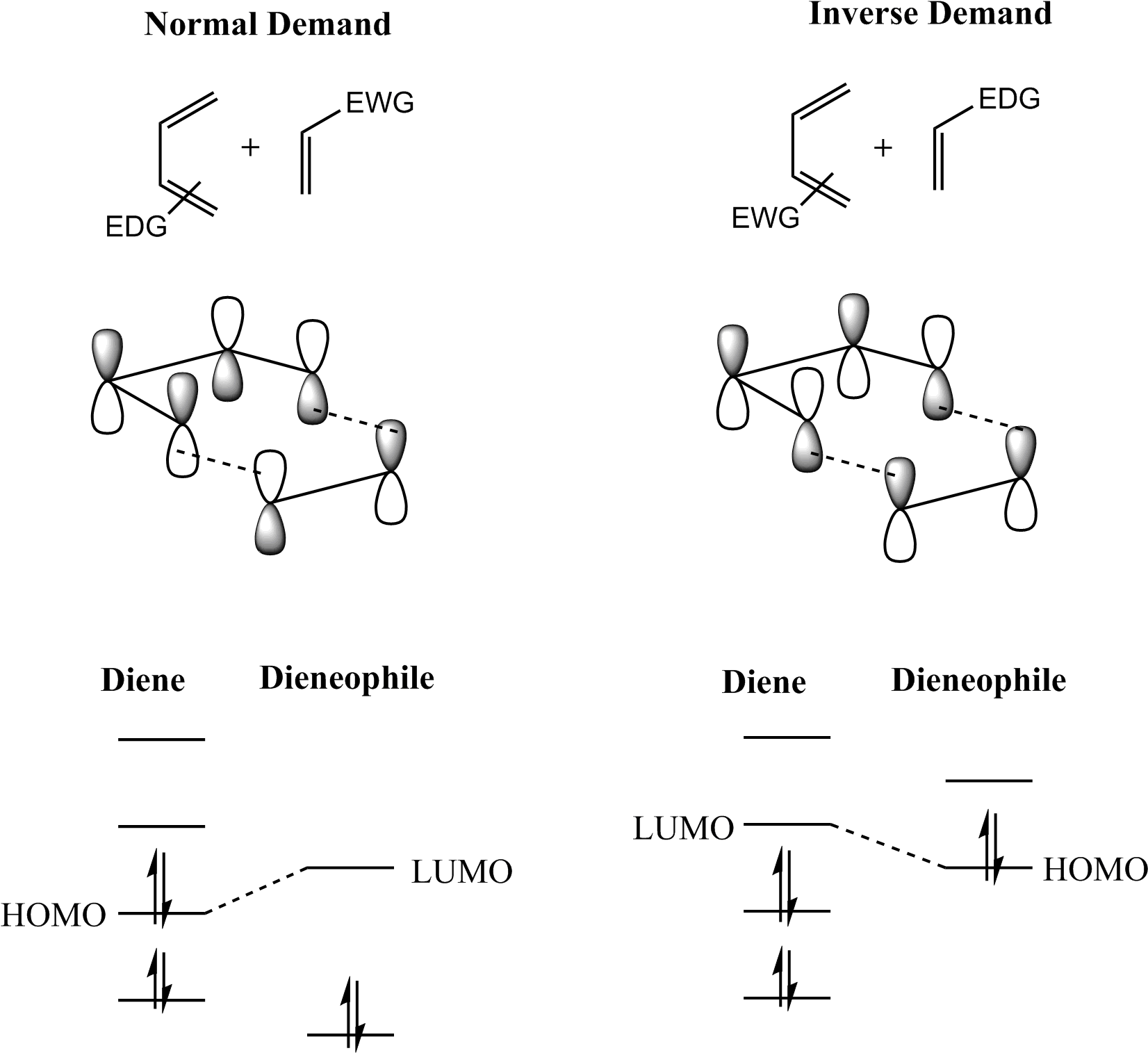 Fmo Of Diels-alder Reaction - Diels Alder Reaction (1670x1541), Png Download