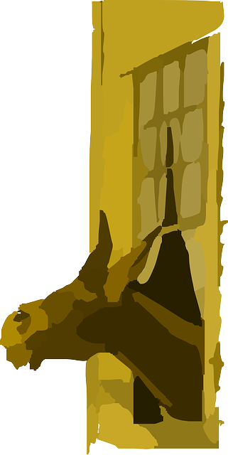 Head, Farm, Donkey, Out, Funny, Window, Looking, Comedy - Donkey (321x640), Png Download