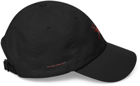 The Hullabaloo Old Army Cap - Donald Trump (480x480), Png Download