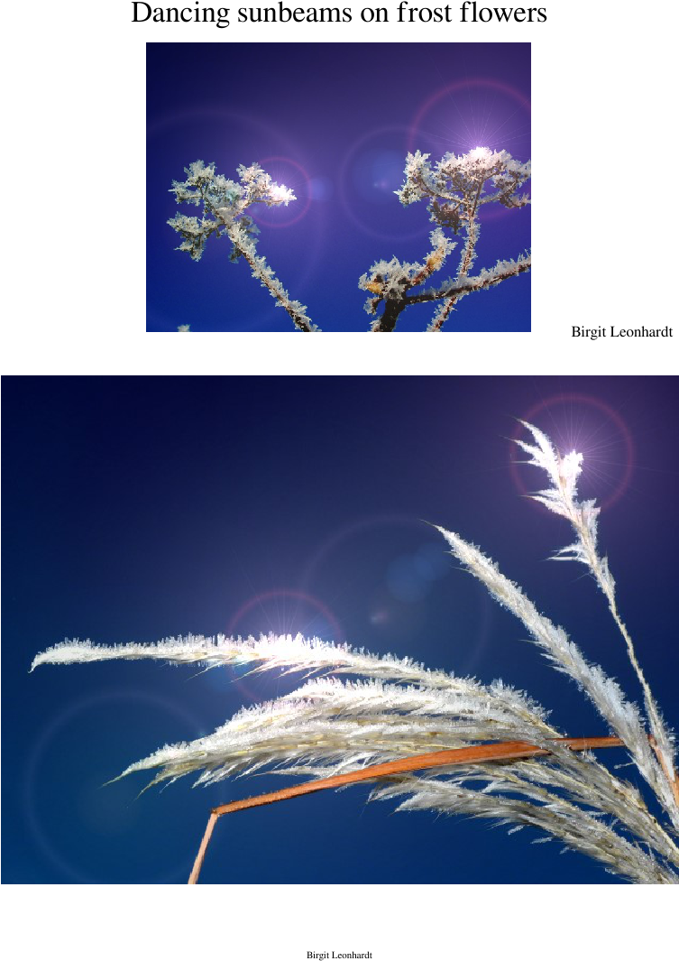 Dancing Sunbeams On Frost Flowers Sheet Music Composed - Graphic Design (827x1169), Png Download