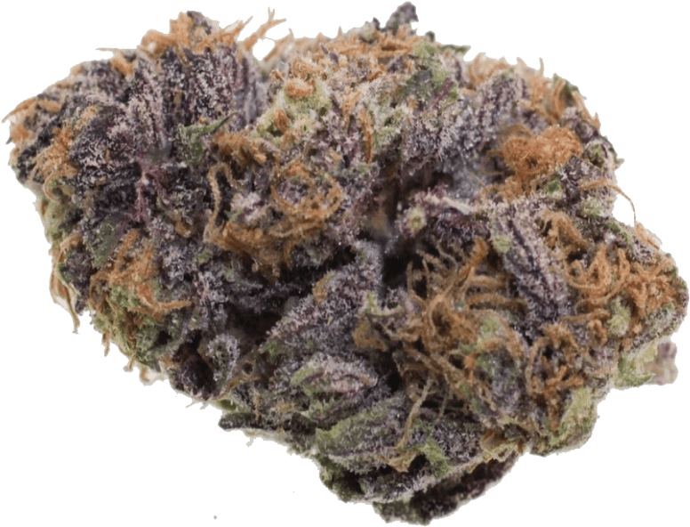 Purple Haze - Grand Daddy Purple (1000x1000), Png Download
