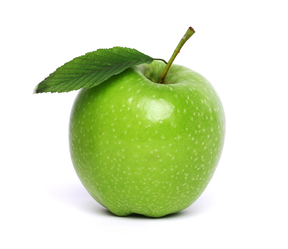 Stem Png (650x513), Png Download