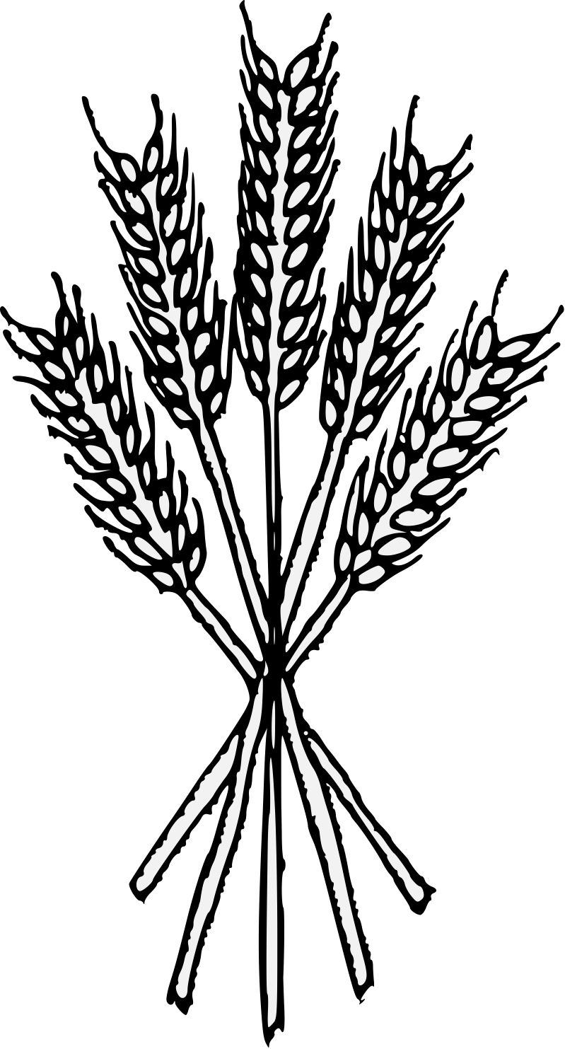 Details, Png - Wheat Heraldry (799x1483), Png Download