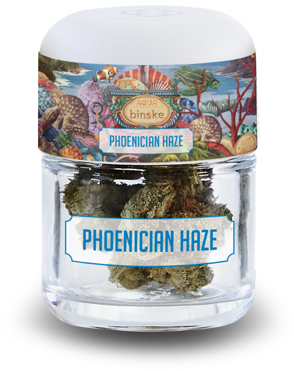 Water Phoenician Haze Flower 1a - Water (673x741), Png Download