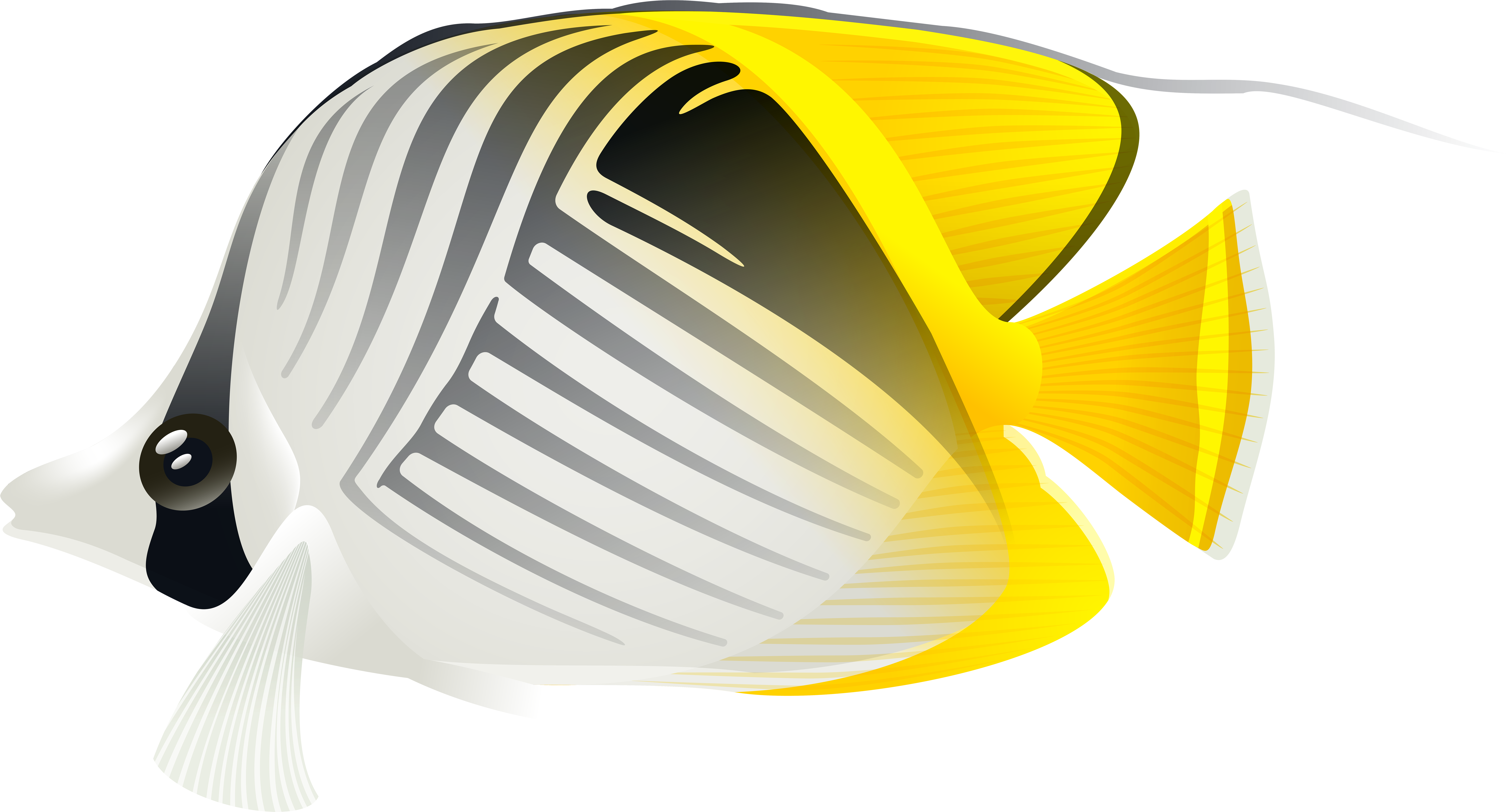 Aquarium Fish Png Clip Art Image - Portable Network Graphics (600x327), Png Download