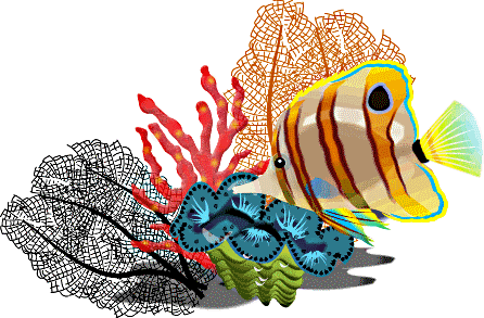 Free Fish Clipart Tropical Fish Star Fish Cartoon Fish - Free Tropical Fish Clip Art (446x293), Png Download