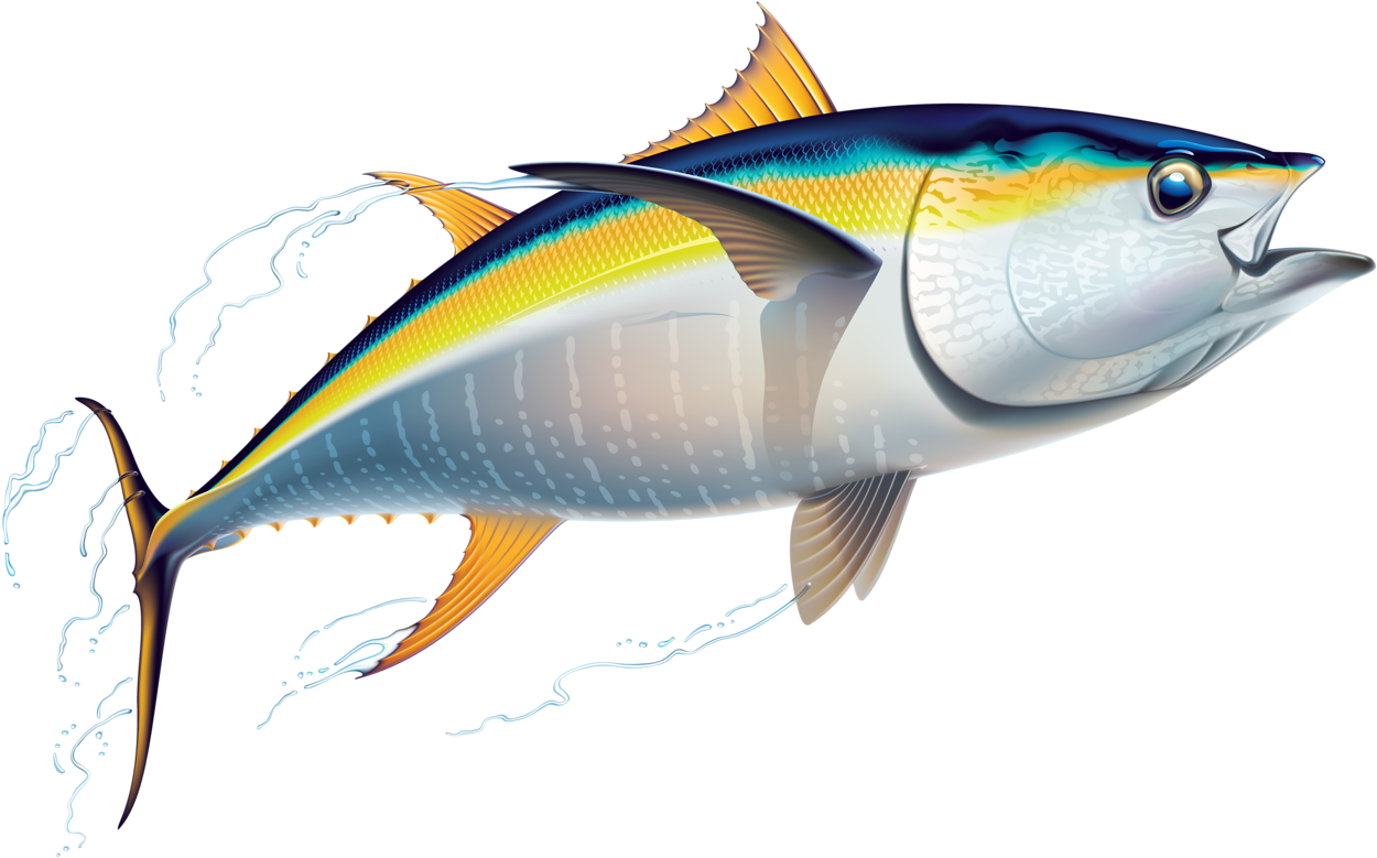 Marine Fish Clipart Australian Fish - Tuna Clip Art (1280x813), Png Download