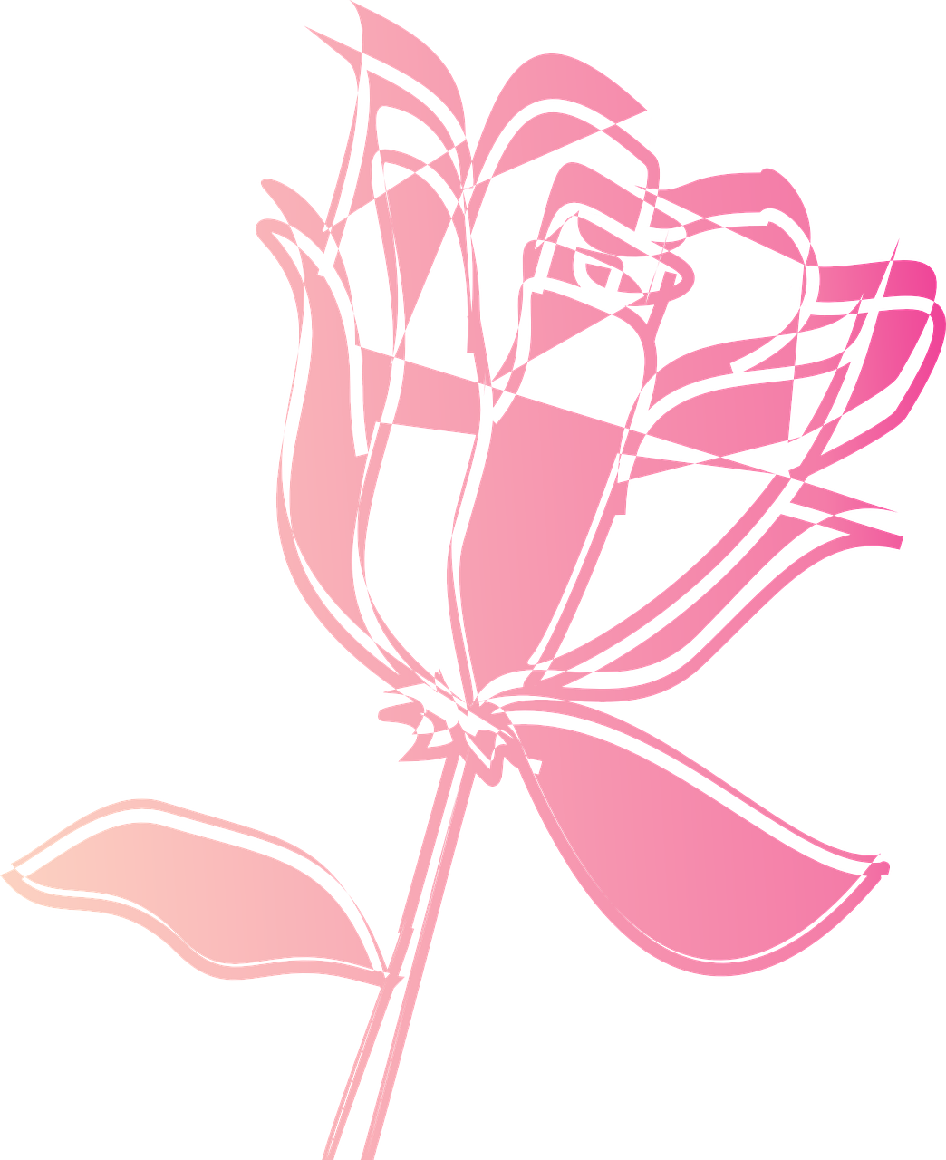 Rose Drawing Png Download - Portable Network Graphics (1044x1280), Png Download