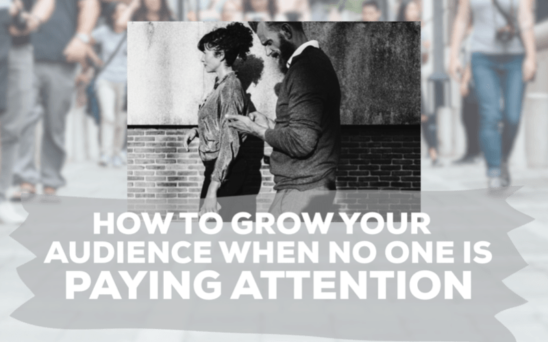 Audience (800x500), Png Download