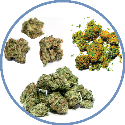About Marijuana - Horizon Observatory (405x405), Png Download
