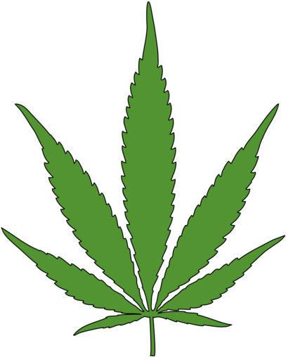 Legalize Cannabis - Canada Legaliza La Marihuana (500x611), Png Download