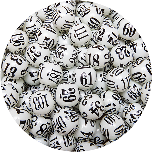 Image - Bingo (504x499), Png Download