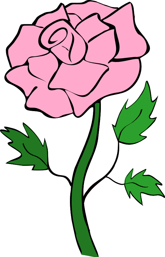 Pink Rose Clipart - Rose Pink Clipart (566x879), Png Download