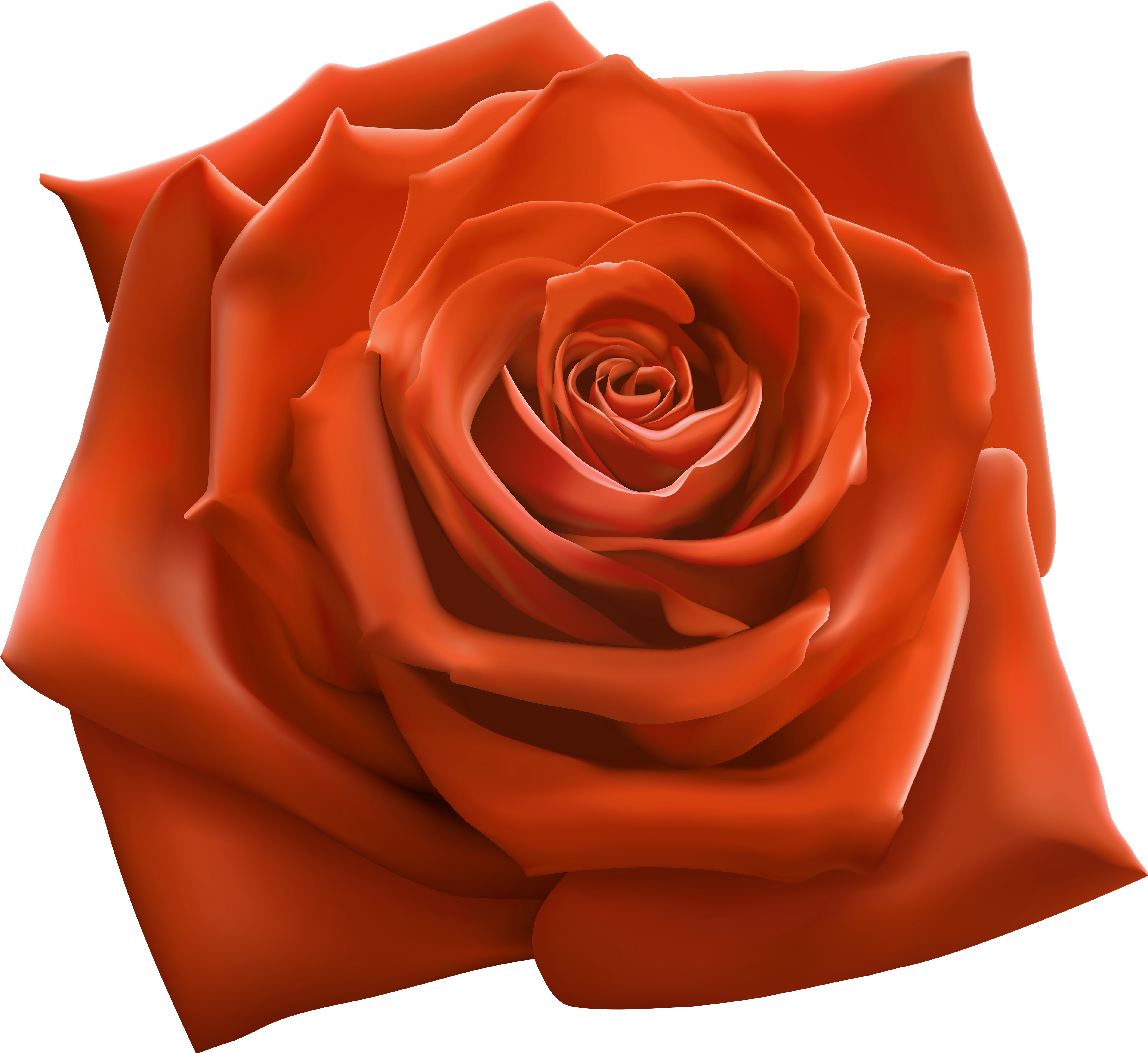 Orange Rose Png Clipart Image - Snoop Dogg 220 Album (5000x4586), Png Download