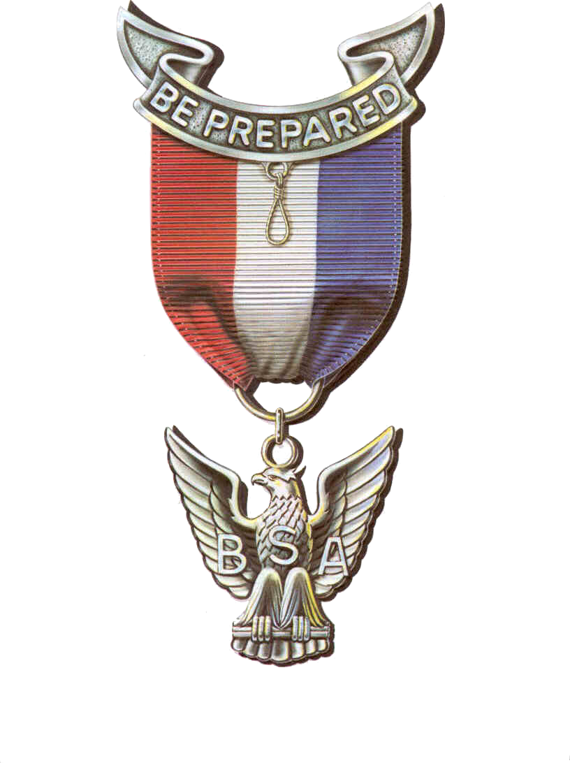 Class Of 2017 Eagle Scout Career Recognition Dinner - Boy Scouts Eagle Medal (816x1092), Png Download
