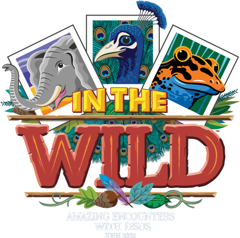 Lifeway 2019 Vbs Theme (480x480), Png Download
