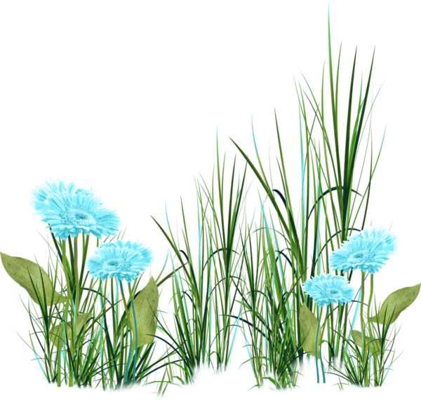 Visit - Imagens De Grama E Flores Png (600x571), Png Download
