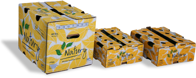 31 89k Fondo Natury 31 May 2012 - Box (700x341), Png Download