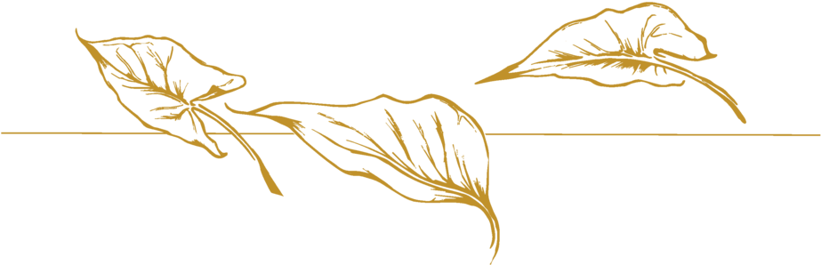 Jade Goldleaf 2 - Portable Network Graphics (1000x352), Png Download