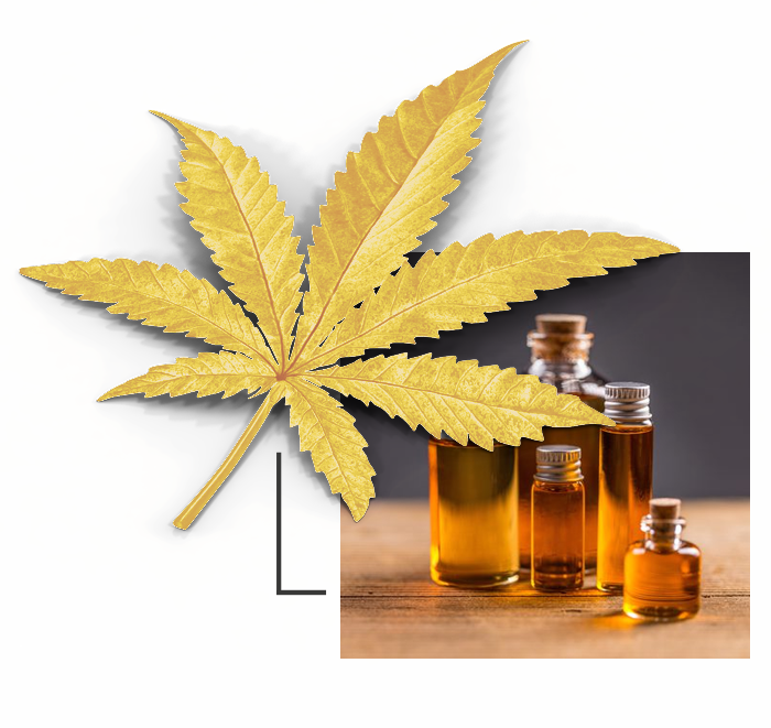 Cannabis Oil Online - Hash Oil (700x661), Png Download