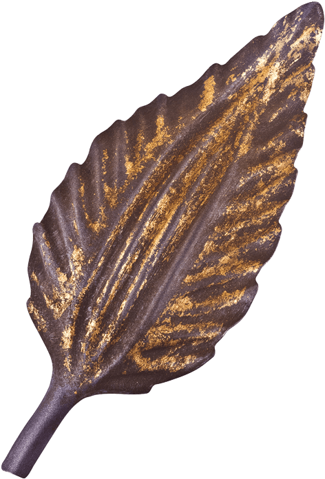 Plum & Gold Leaf - Shell (496x702), Png Download