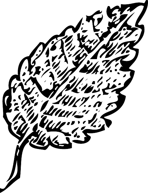 Black, Fall, Outline, Leaf, Palm, Tree, White, Line - Leaf Outline (491x640), Png Download
