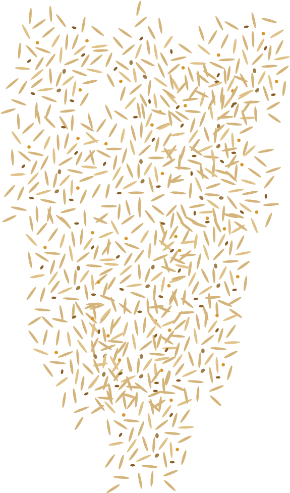 Falling Grains - Illustration (600x1000), Png Download