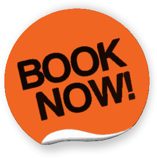 Goa Tour Packages From Chandigarh - Book Now Button Png (384x328), Png Download