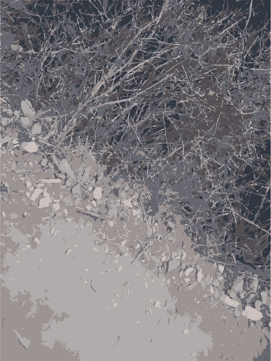 Download Icon Clipart Computer Icons Winter Snow Tree - Portable Network Graphics (900x1198), Png Download